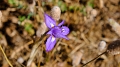 2025_05_12_122050_apulien-2025 (2)